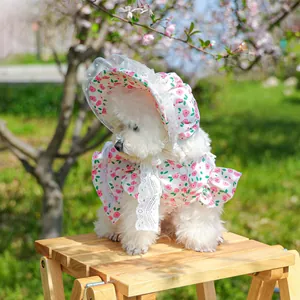 Floral pet sun hat with lace trim and matching pink dress on a small white dog