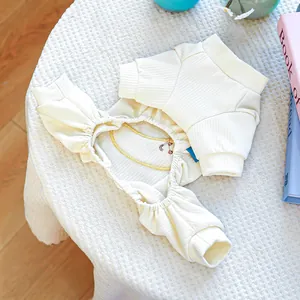 Détail d'un pull pour animal en maille côtelée crème avec col montant et accents dorés