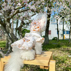 Rear view of small white dog wearing floral pet dress with lace hat under cherry blossoms