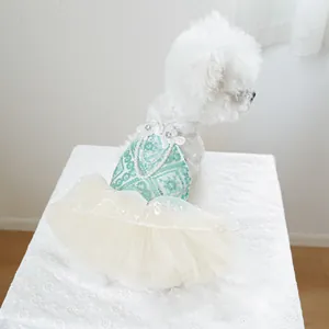 Abito principessa cucciolo verde menta gonna in pizzo vestito festa animale piccolo cane