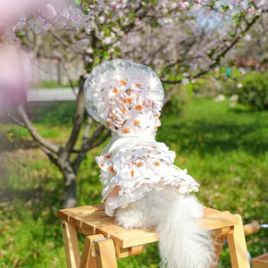 Detail of floral pet dress and lace hat with D-ring on a dog in a cherry blossom park