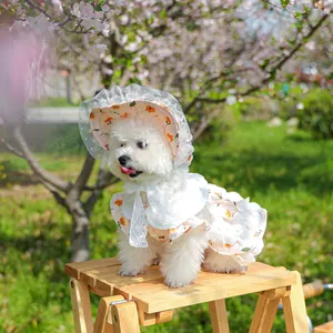 Floral pet sun hat with lace trim and matching floral skirt shown in an outdoor park setting