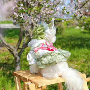 Detail of floral pet dress with green ruffles, lace trims and a matching lace hat
