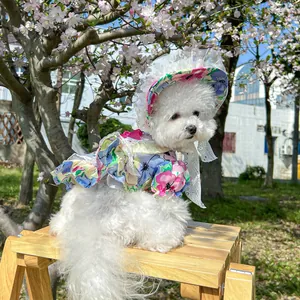 Close-up of small dog floral dress and matching lace sun hat for spring fashion