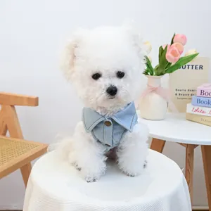 Cute pet denim daisy collar shirt for small dogs and cats in a stylish indoor setting