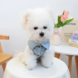 Close-up of light blue denim pet vest with small collar and buttons on a white dog