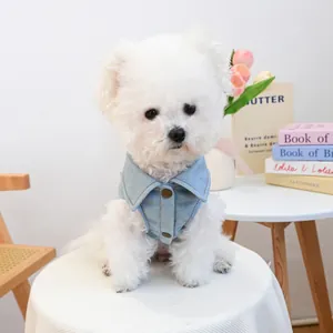 Detail of light blue denim pet shirt with metal buttons on a white Bichon Frise