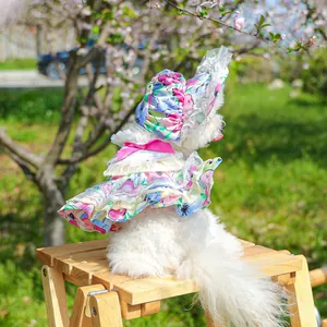 Floral pet dress with lace edges and a matching sun hat in a sunny garden setting