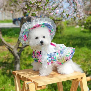 Detail of floral pet dress with lace hat on a small dog in a blossom garden setting