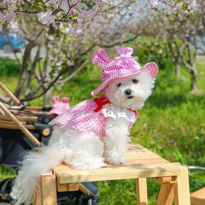 Detail of pink plaid pet dress with lace collar and bunny ear sun hat for small dogs