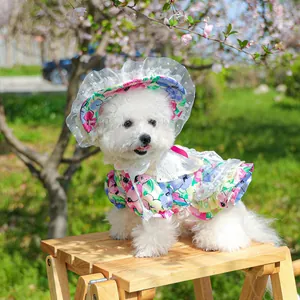 Detail of floral pet dress with lace hat on a white dog in a sunny garden setting