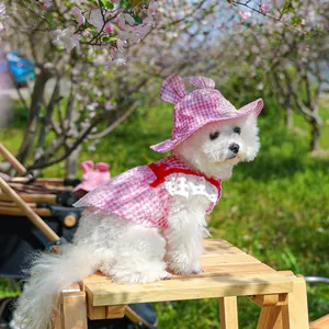 Detail of pink plaid pet dress with lace trim and matching bunny ear sun hat for small dogs