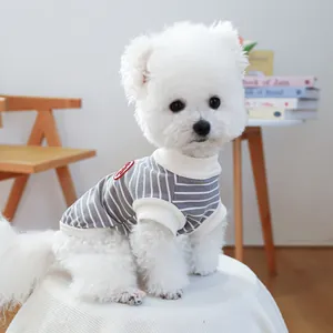 Detail of grey striped pet vest with red badge on a small dog in a home setting