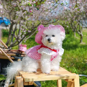 Pink plaid dog dress with lace collar and matching sun hat worn by a Bichon outdoors