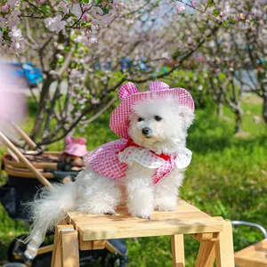 Close-up of a pink plaid pet cloak and matching sun hat set on a white Bichon dog