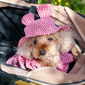 Detail of a small dog wearing a red and white plaid sun hat with cute bunny ears