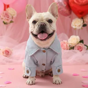 Cute light blue denim pet jacket for small dogs with classic collar and brass buttons