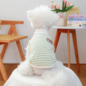 Detail of green striped dog vest with vintage patch on a white Bichon Frise