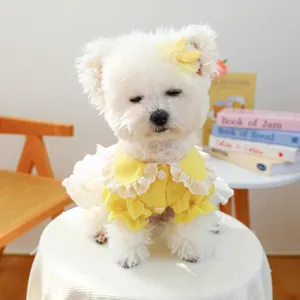 Detail van gele honden tutu jurk met kanten kraag en bijpassende haarstrik