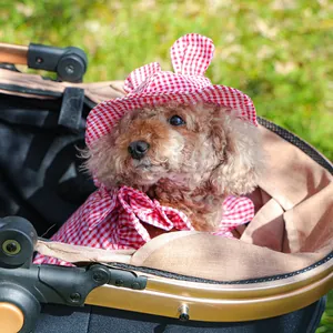 Detail of red gingham pet sun hat with rabbit ears and matching cloak for small dogs