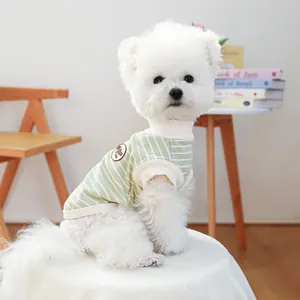 Close-up of green striped dog vest with premium leather patch on a small white Bichon