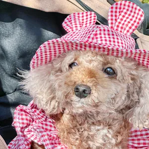 Detail of red and white plaid pet sun hat with cute rabbit ears on a small brown dog