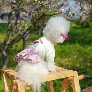 Dettaglio dell'abito tutu rosa a righe per cani con ricamo di orsetto su un piccolo cane