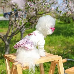 Grazioso set vestito tutu per cani con ricamo orso e occhiali da sole per passeggiate estive