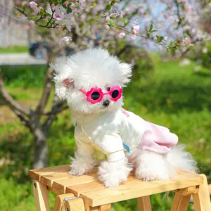 Dettaglio occhiali da sole a fiore rosa e vestito tutu ricamato Hello per piccoli cani