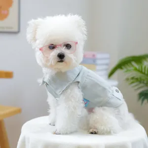 Blauw denim hondenhalsbandje en roze bril op een witte Bichon Frise-hond