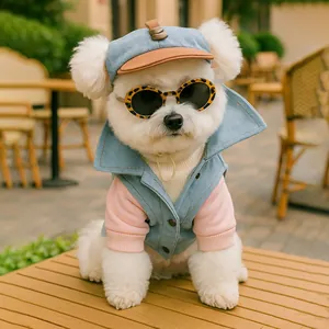Fashionable pet denim vest and baseball cap set with sunglasses for small dogs
