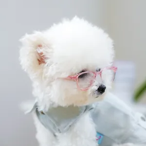 Roze transparante huisdierbril gedragen door een kleine pluizige witte hond in denim