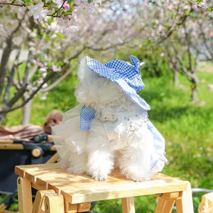 Detail of pet sun hat and lace mesh dress on a dog in a spring park setting