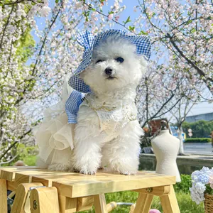 Detail of pet sun hat with blue gingham pattern and lace floral dress for small dogs