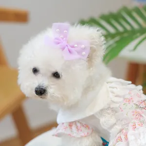 Détail du nœud papillon à perles lavande et de la robe florale pour petit chien