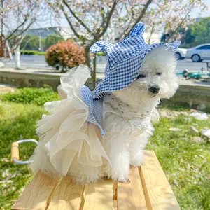 Close-up of blue plaid pet sun hat with ears and lace dress on a dog in cherry blossoms
