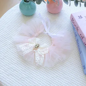 Gros plan du bavoir pour chien en tulle rose avec nœud dentelle et camée rétro