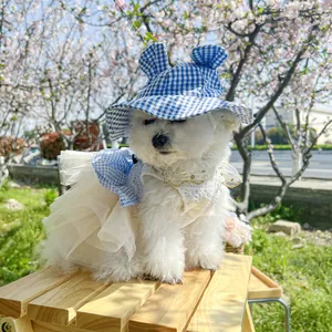 Blue plaid pet dress set with lace detail and sun hat worn by a dog in cherry blossoms