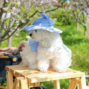 Blue plaid pet sun hat and lace tutu dress set shown in an outdoor garden setting