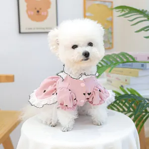 Dettaglio vestito rosa per cani con cuori, pizzo bianco e maniche a sbuffo