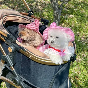 Detail of red and pink plaid pet hats and capes with lace trim for small dogs outdoors