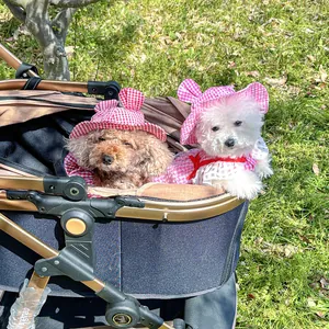 Close-up of pink and red plaid pet sun hat with cute ears on a small dog outdoors