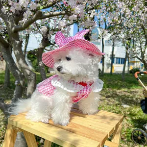 Close-up of pink plaid pet summer dress with lace collar and matching rabbit ear sun hat