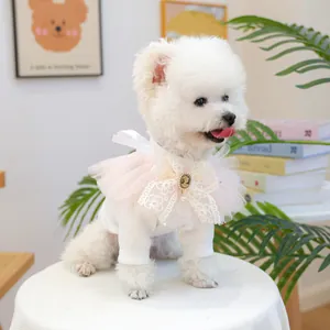 Détail du pull tricoté blanc pour chien avec nœud en dentelle rose et broche vintage