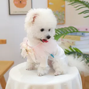 Détail d'un pull pour chien avec volants en dentelle rose et nœud de style vintage