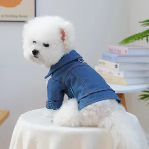 Detail of blue denim dog jacket with D-ring and yellow stitching on white Bichon