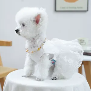 Détail d'une robe pour chien en dentelle blanche avec broderie et collier de perles