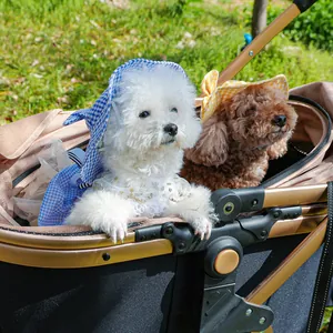 Luxurious champagne gold pet stroller with spacious black cabin for small dogs outdoors