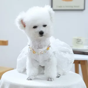 Détail d'une robe pour chien en dentelle blanche avec un collier de perles multicolores
