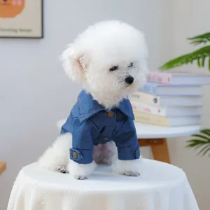 Detail of a white dog wearing a dark blue denim jacket with metallic buttons and collar